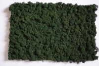 Nature Style dunkelgrün, echtes Islandmoos, 38x58mm