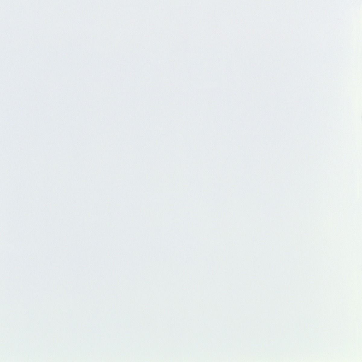 Ringo Türblatt CPL glattweiss, ohne Schlüsselloch, R2, RS, 198,5x73,5cm, DL