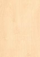 Egger ABS-Kante ohne SK H1733 ST9, Mainau Birke, 23x0,4mm, 200m/Rolle